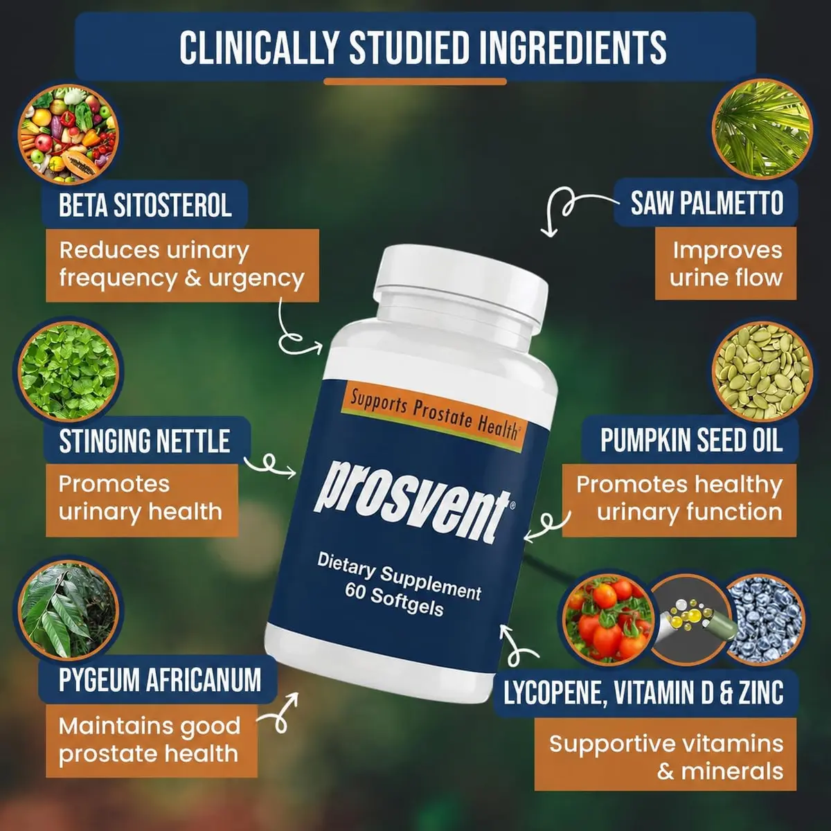 Prosvent Prostate Support with Beta Sitosterol & Stinging Nettle | 60 Ct | Supports Urinary Flow & Bladder Health - view 6
