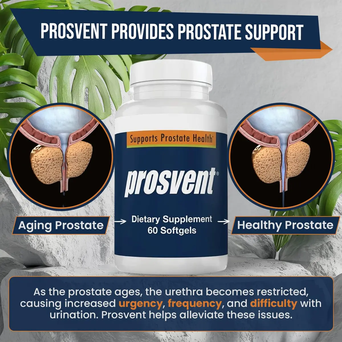 Prosvent Prostate Support with Beta Sitosterol & Stinging Nettle | 60 Ct | Supports Urinary Flow & Bladder Health - view 7