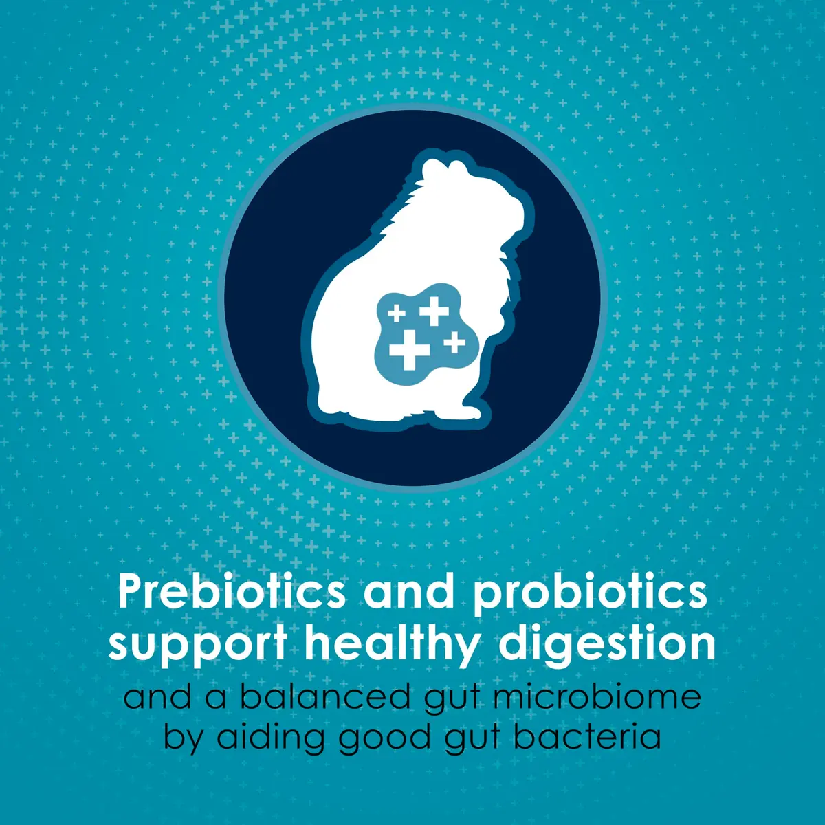 Kaytee Forti-Diet Pro Health Nourish+Protect Hamster & Gerbil Food 3 Pound | Supports Digestive & Immune Health - view 5