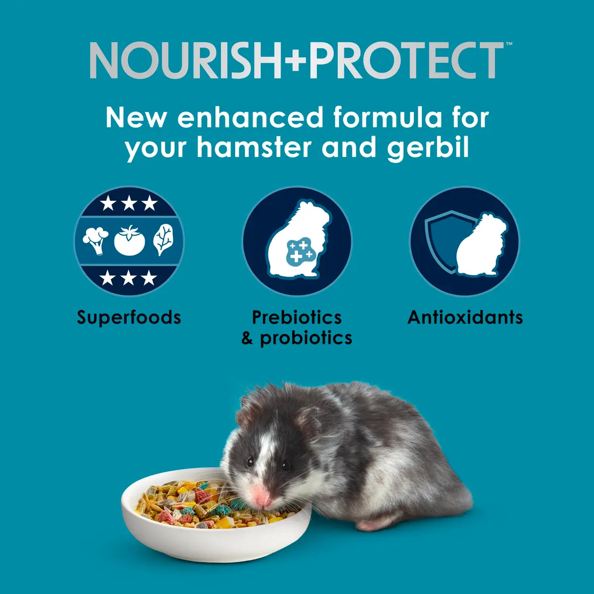 Kaytee Forti-Diet Pro Health Nourish+Protect Hamster & Gerbil Food 3 Pound | Supports Digestive & Immune Health - view 3