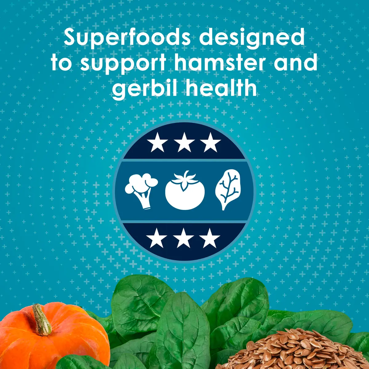 Kaytee Forti-Diet Pro Health Nourish+Protect Hamster & Gerbil Food 3 Pound | Supports Digestive & Immune Health - view 4