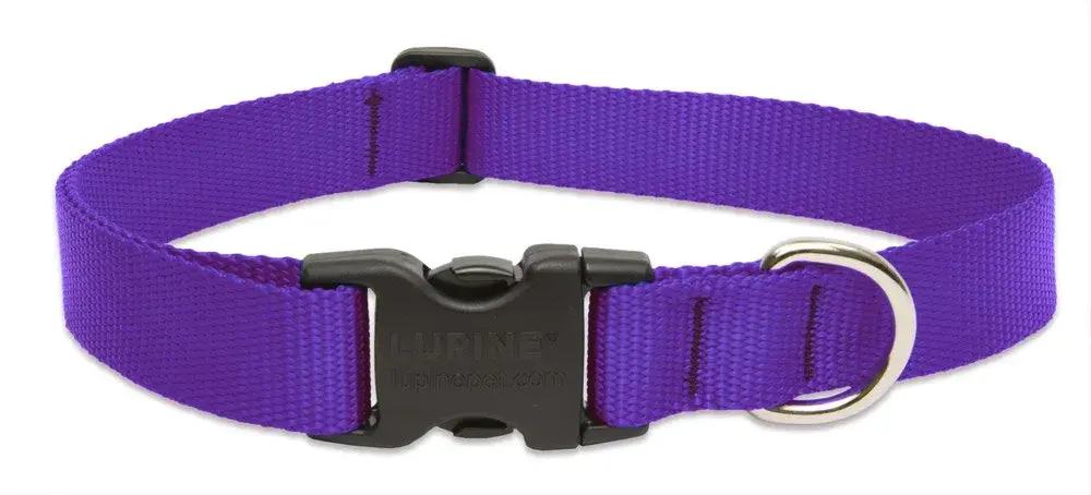 LupinePet Basics Purple Adjustable Dog Collar 2.54cm (1")W; 63.5-78.74cm (25-31") Neck | Guaranteed Even If Chewed - main product image