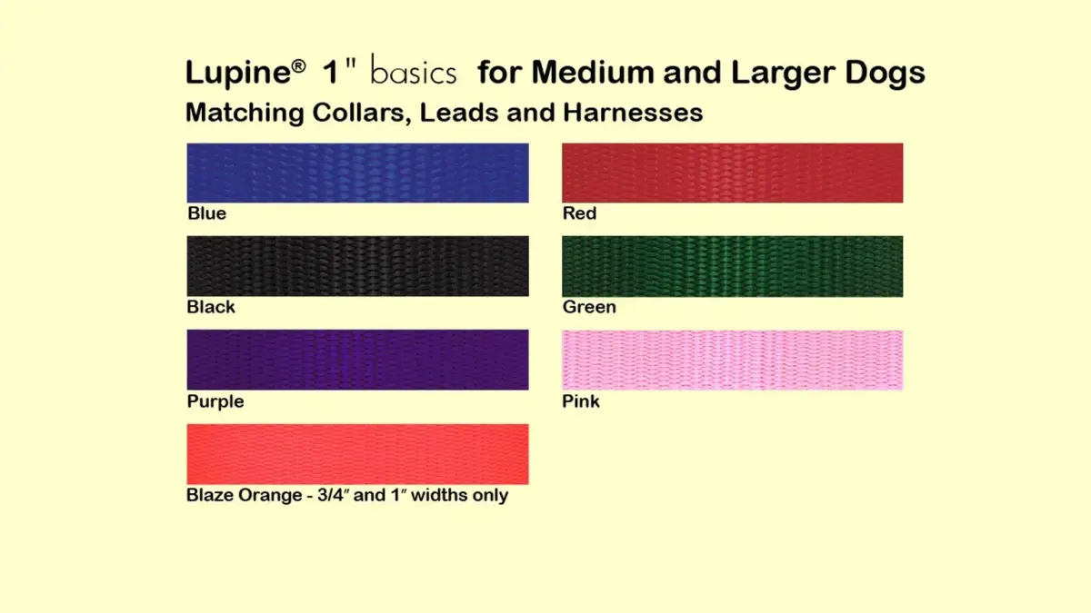 LupinePet Basics Purple Adjustable Dog Collar 2.54cm (1")W; 63.5-78.74cm (25-31") Neck | Guaranteed Even If Chewed - view 2