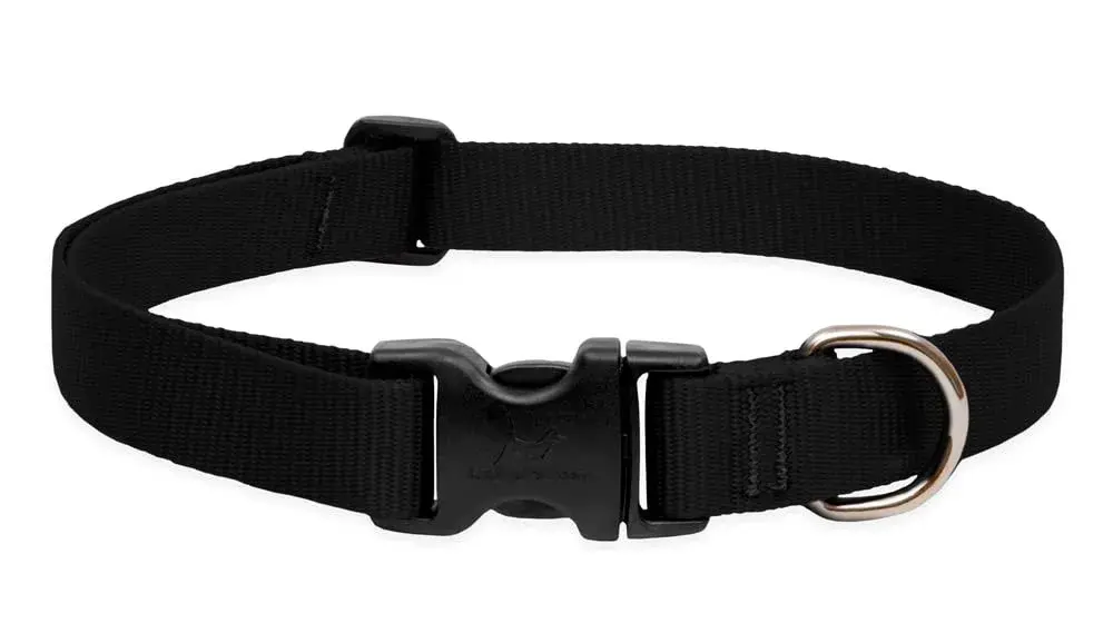 LupinePet Basics Black Adjustable Dog Collar 2.5cm (1") | 30-50cm (12-20") Neck Fit - main product image