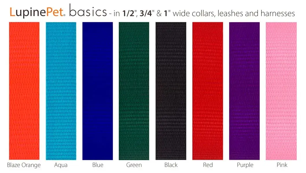 LupinePet Basics Black Adjustable Dog Collar 2.5cm (1") | 30-50cm (12-20") Neck Fit - view 2