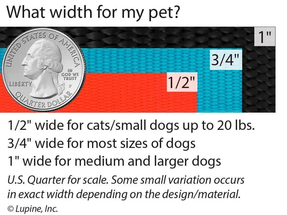 LupinePet Basics Black Adjustable Dog Collar 2.5cm (1") | 30-50cm (12-20") Neck Fit - view 3