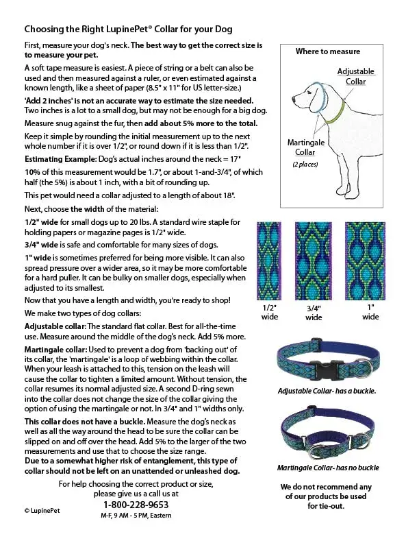 LupinePet Basics Black Adjustable Dog Collar 2.5cm (1") | 30-50cm (12-20") Neck Fit - view 4