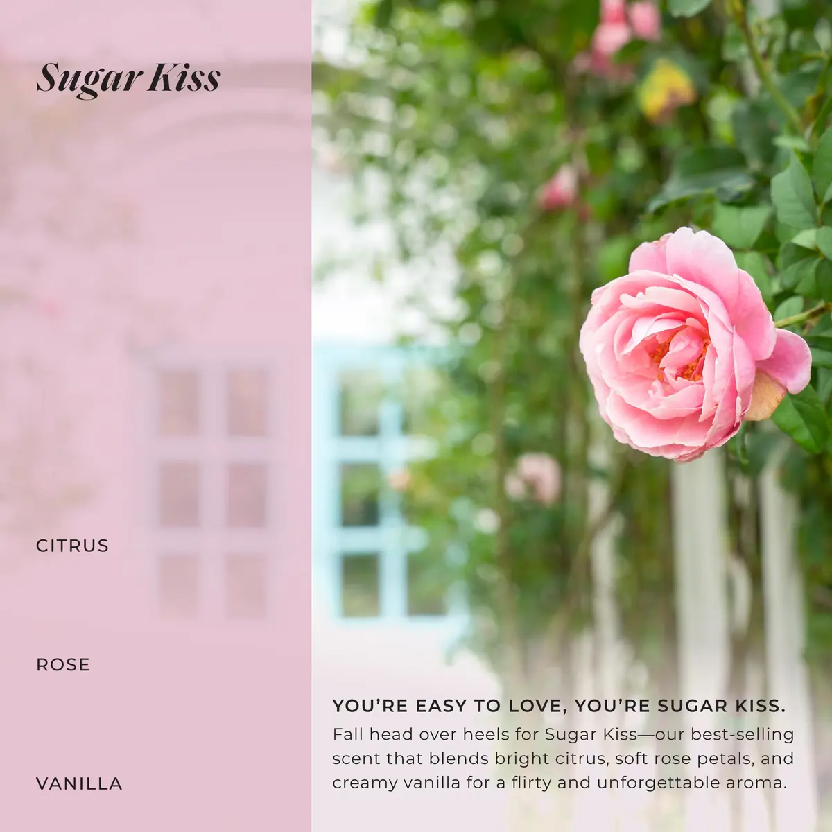 LALICIOUS Sugar Kiss® Whipped Body Butter 8oz | Ultra-Hydrating Shea & Hyaluronic Acid for Dry Skin - view 5