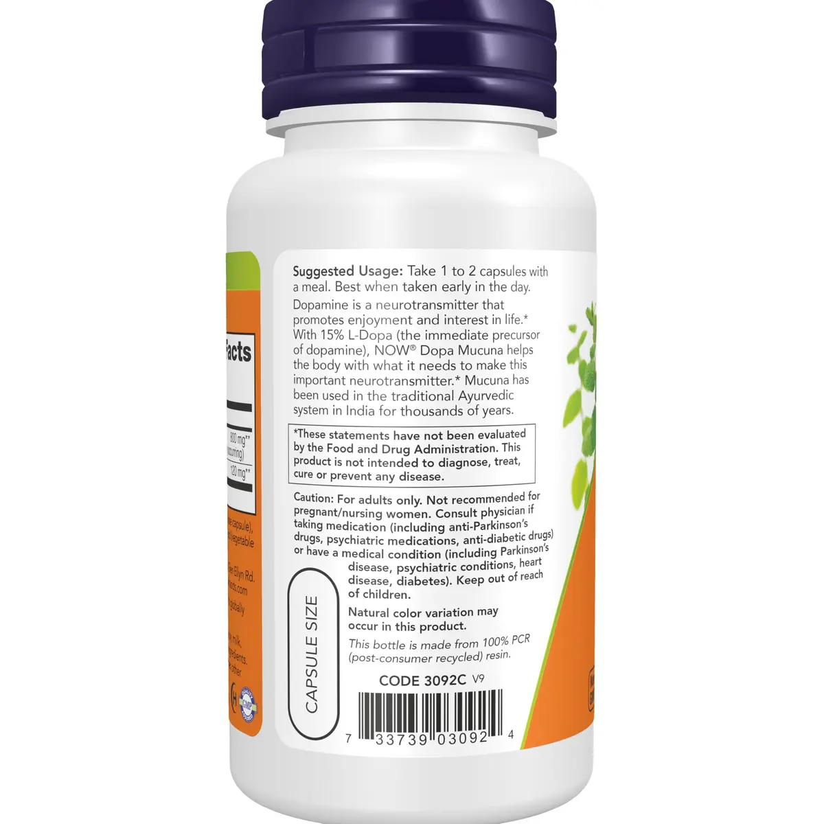 NOW DOPA Mucuna 90 Veg Caps | Standardized 15% L-Dopa for Dopamine Support - view 3