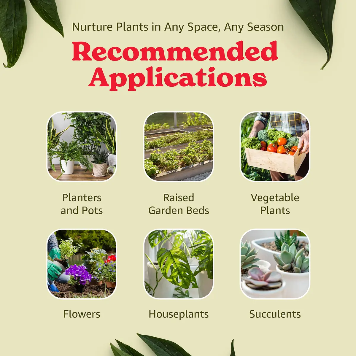 BACCTO Michigan Peat General Purpose Premium Potting Soil with Perlite, 50 lb | All-Purpose Garden Soil for Healthy Plants - view 4