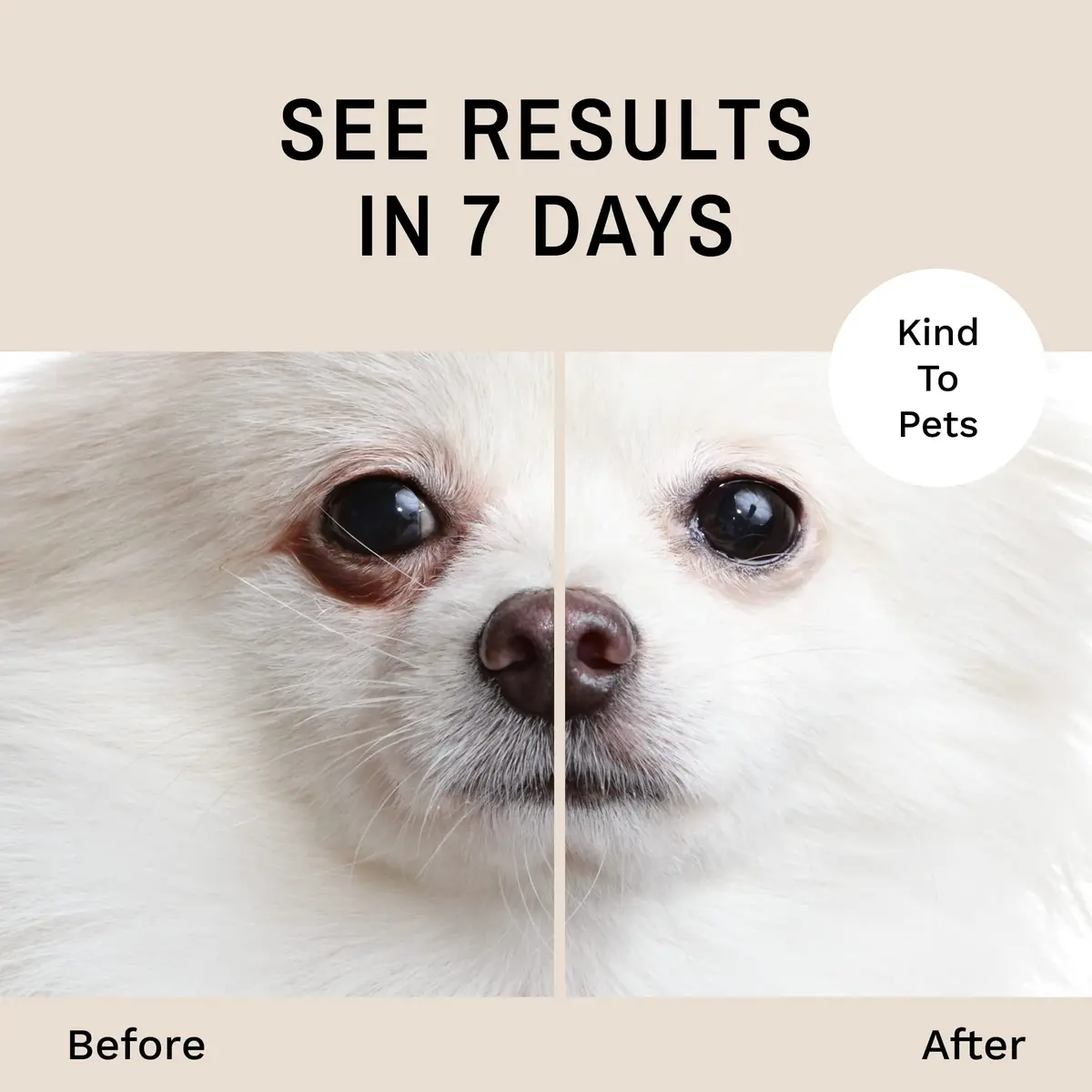 Eye Envy Tear Stain Remover Powder for Dogs and Cats 2.5 oz | Natural, Safe Formula for Tear Stains - view 3
