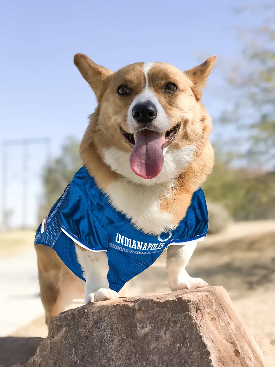 Pets First NFL Indianapolis Colts Dog Jersey X-Small | Comfortable Mesh & Durable Satin - view 5