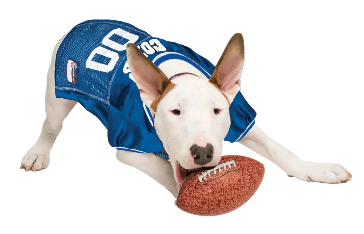 Pets First NFL Indianapolis Colts Dog Jersey X-Small | Comfortable Mesh & Durable Satin - view 2