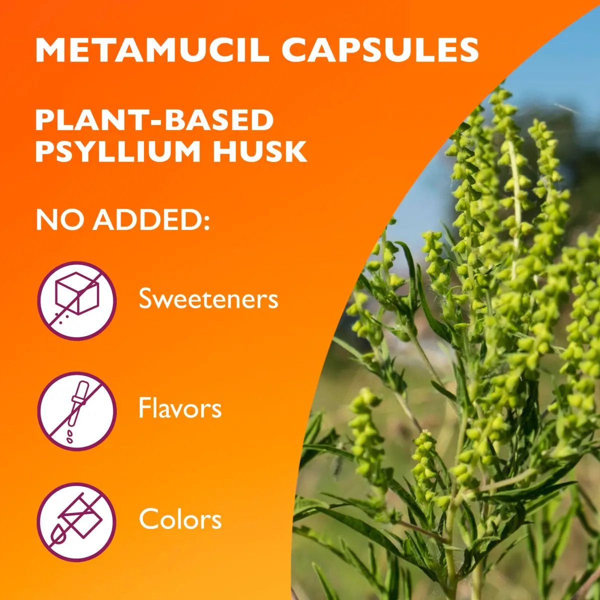 Metamucil Psyllium Husk Fiber Capsules, 300 Count | USA-Sourced Digestive Health Supplement - view 5