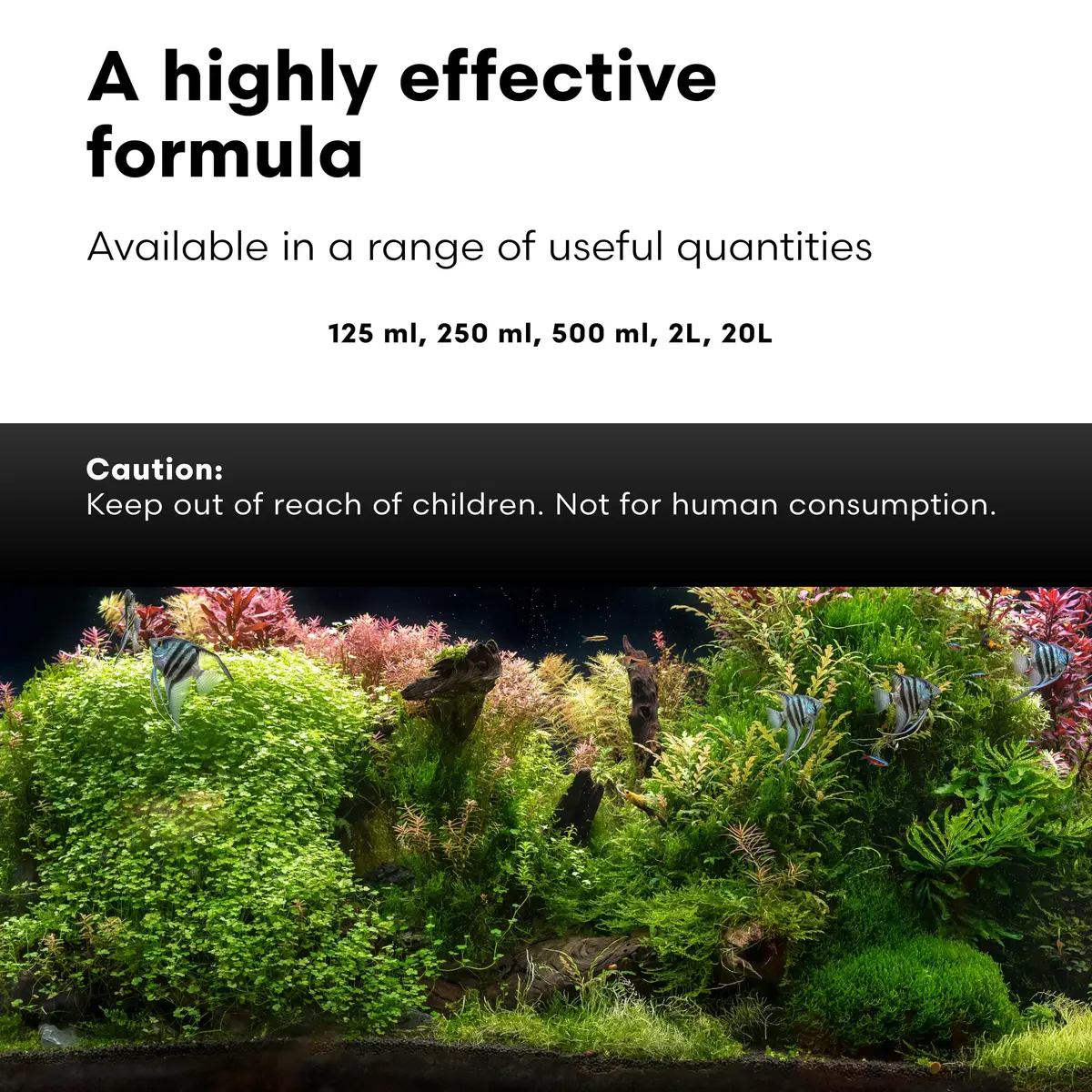 Brightwell Aquatics FlorinMulti 125ml | Multi Nutrient Plant Supplement for Freshwater Aquatic Plants - view 5