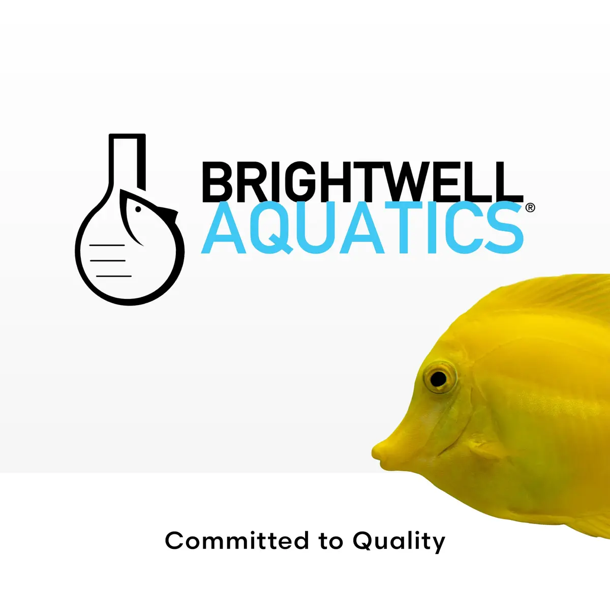 Brightwell Aquatics FlorinMulti 125ml | Multi Nutrient Plant Supplement for Freshwater Aquatic Plants - view 7
