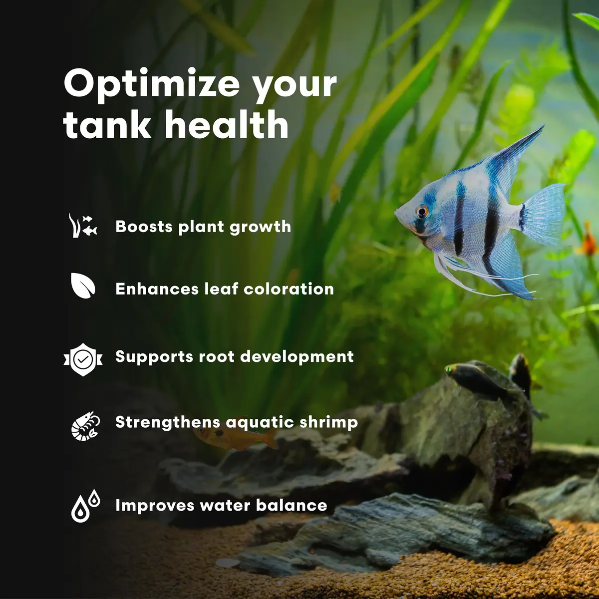 Brightwell Aquatics FlorinMulti 125ml | Multi Nutrient Plant Supplement for Freshwater Aquatic Plants - view 4
