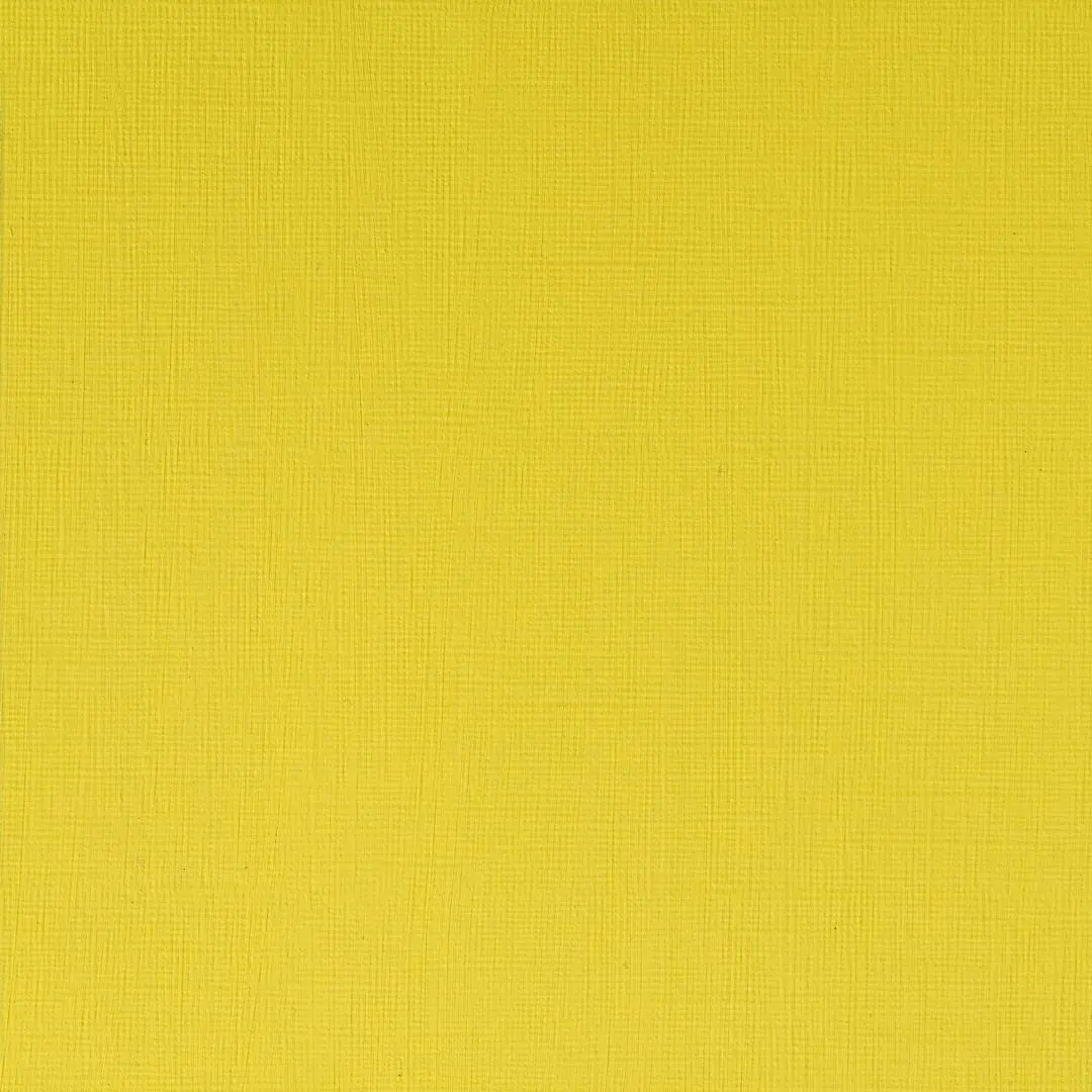Winsor & Newton Professional Acrylic Paint Cadmium Lemon 60ml (2 Fl Oz) | ASTM D4236 Certified Opaque - view 2