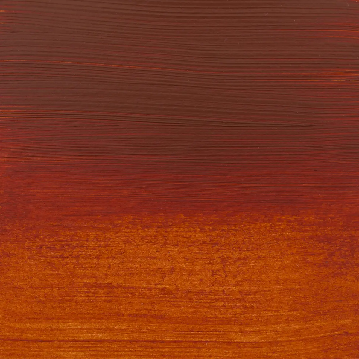 Amsterdam Royal Talens Standard Series Acrylic Paint 120ml (4.06 Fl Oz) Burnt Sienna | Artist Grade, Lightfast & Alkali Resistant - view 2