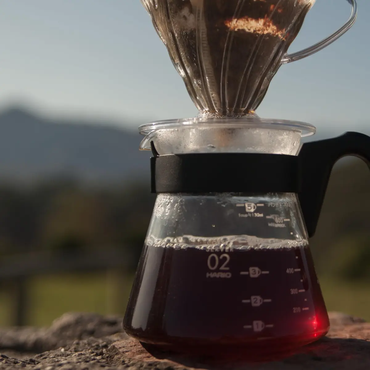 HARIO V60 Glass Coffee Server 1000ml | Heatproof Borosilicate, Japanese Design, 1-6 Cups - view 5