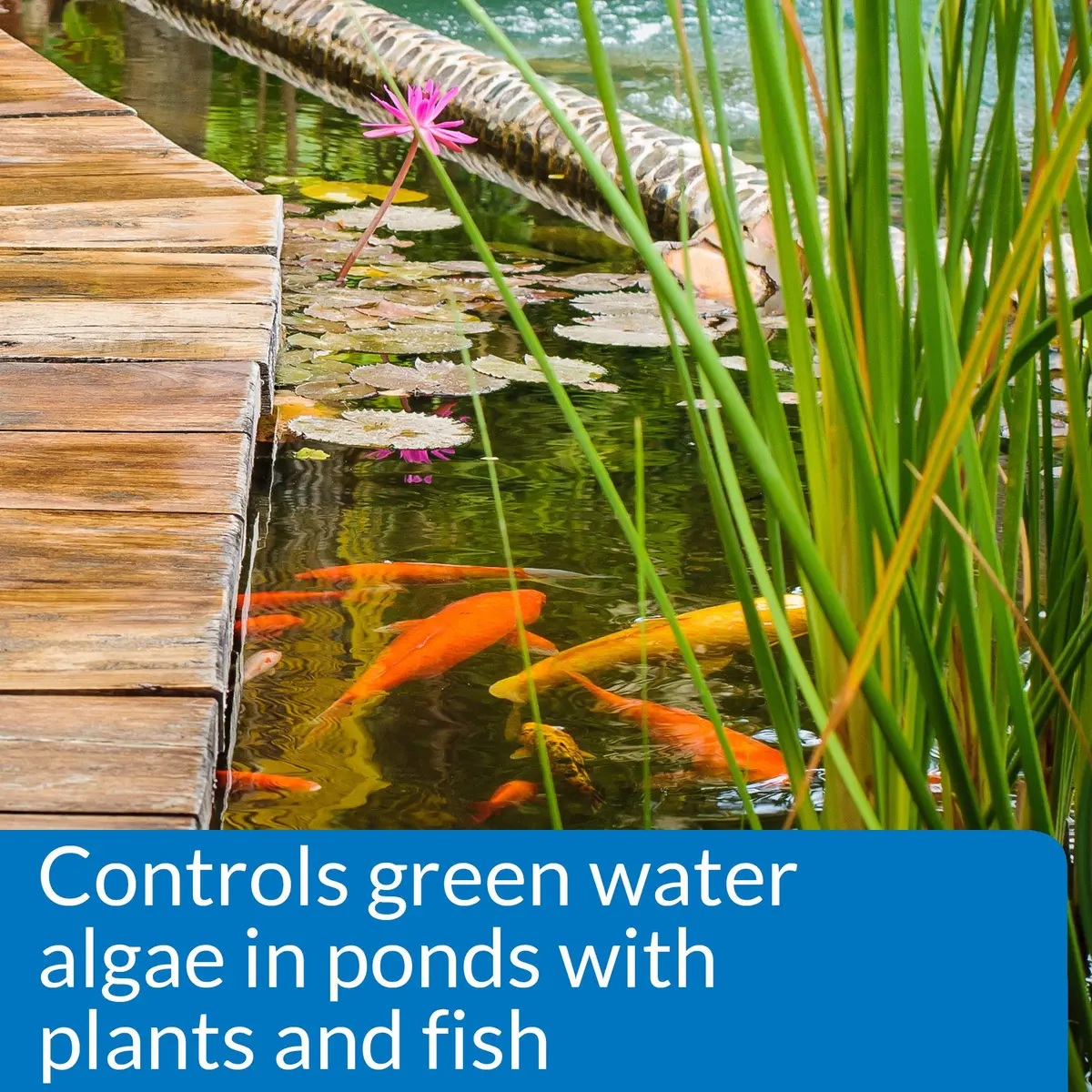 API PONDCARE MICROBIAL ALGAE CLEAN 16 oz Pond Treatment | Biological Algae Control for Water Gardens - view 3