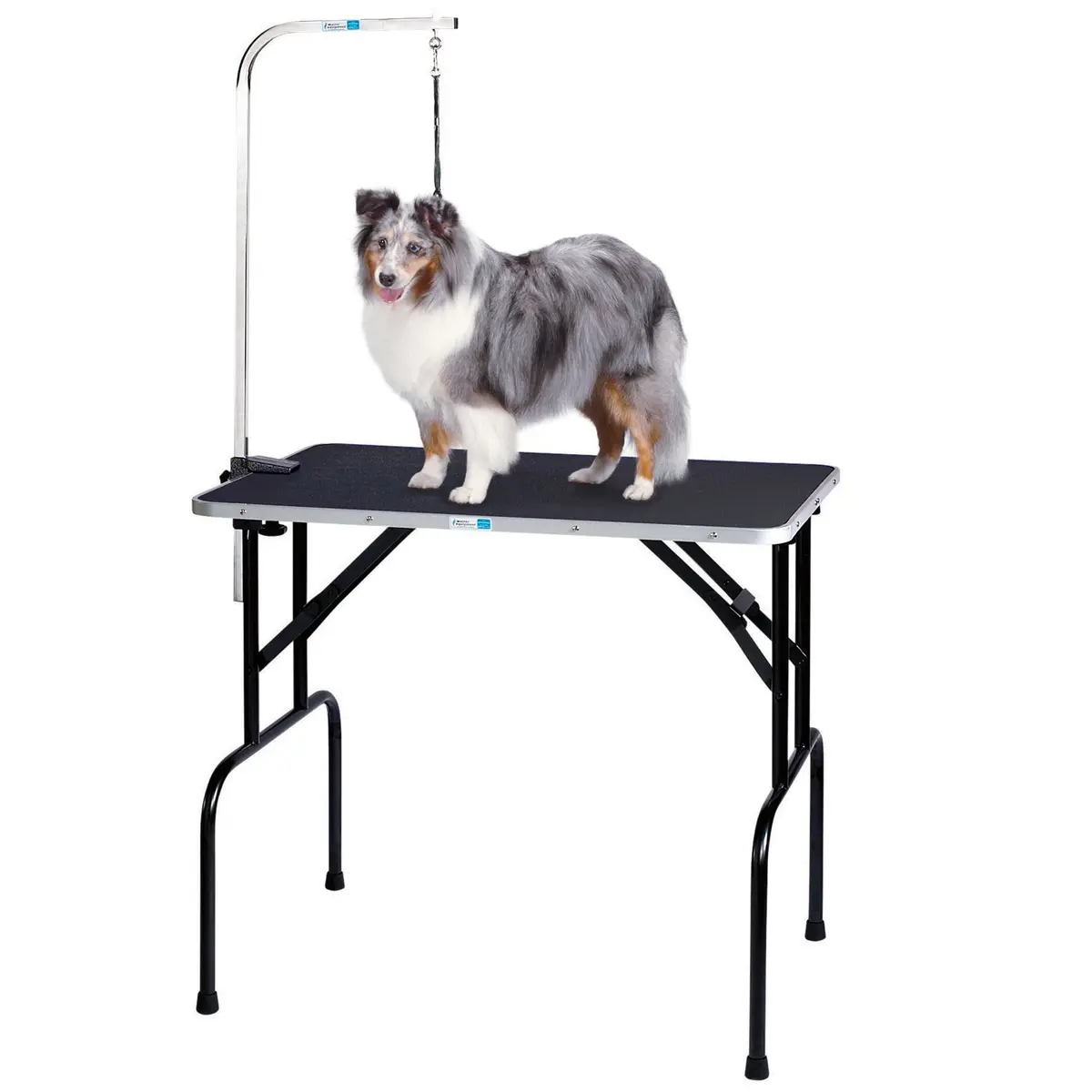 Master Equipment Heavy Duty Grooming Table with Arm | Supports Animals up to 220 lbs, Easy to Clean, Portable - view 3