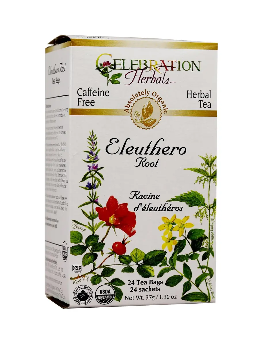 Celebration Herbals Ginseng Eleuthero Root Tea Organic 24 Bag | Herbal Root Tea for Wellness - main product image