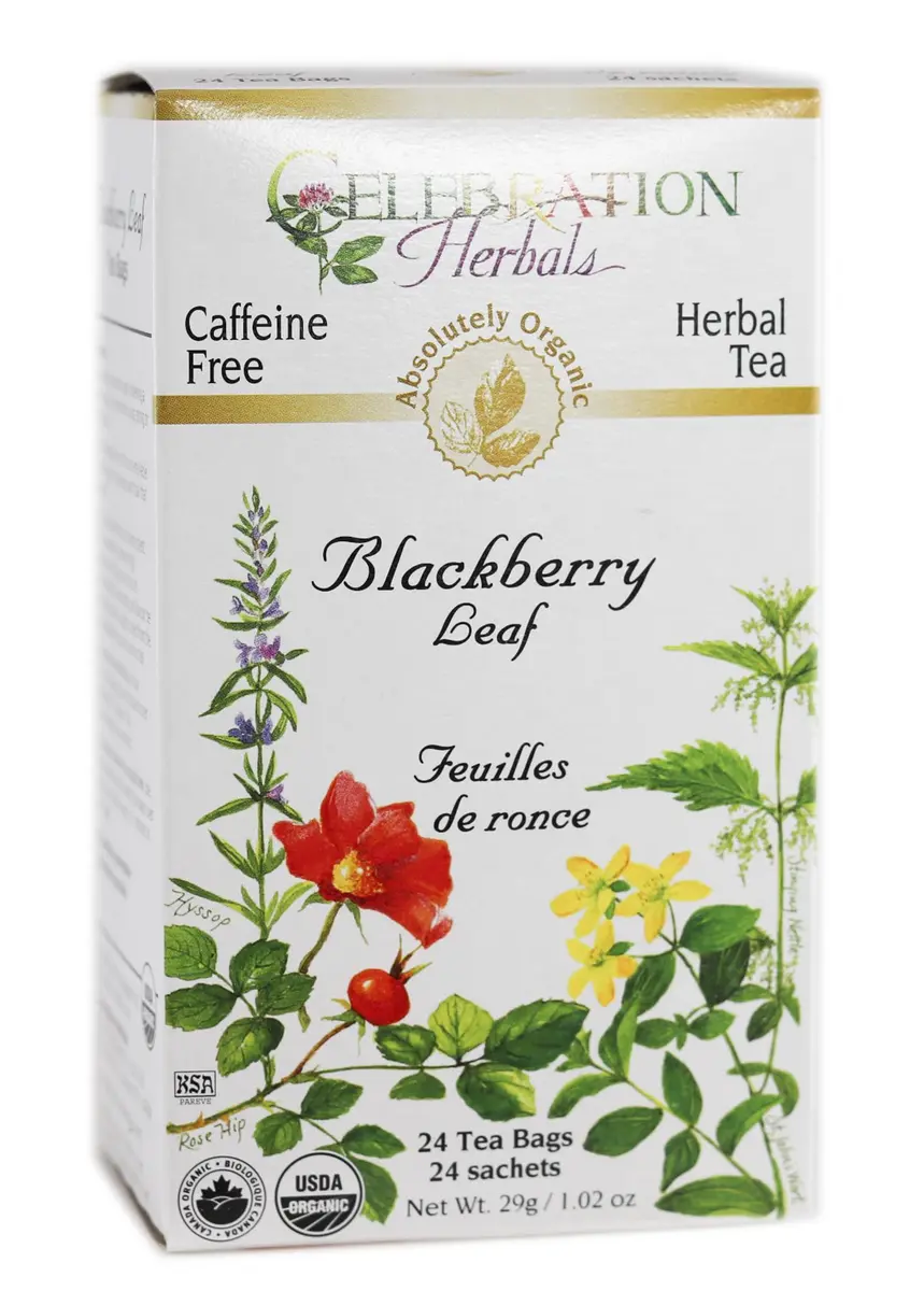 Celebration Herbals Blackberry Leaf Organic 24 Bag | Herbal Tea with Blackberry Flavor, 29g (1.02 oz) - main product image