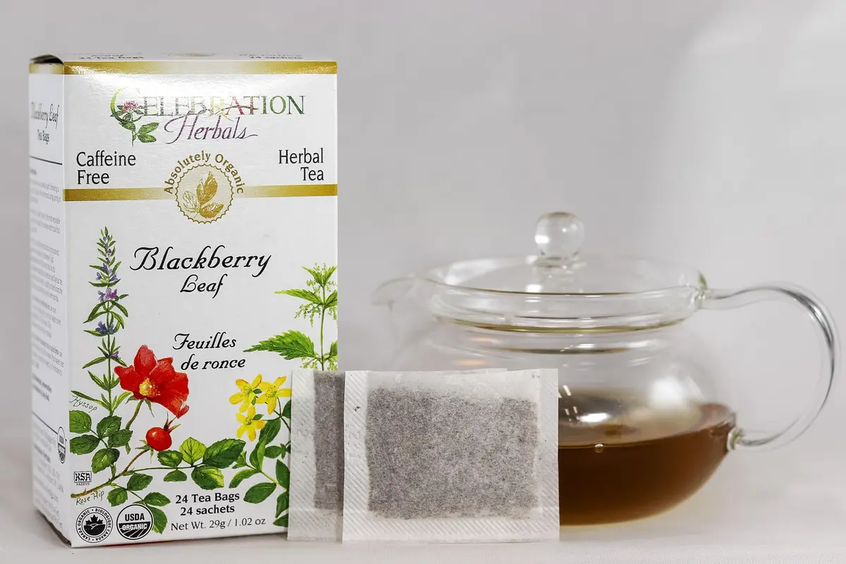 Celebration Herbals Blackberry Leaf Organic 24 Bag | Herbal Tea with Blackberry Flavor, 29g (1.02 oz) - view 3