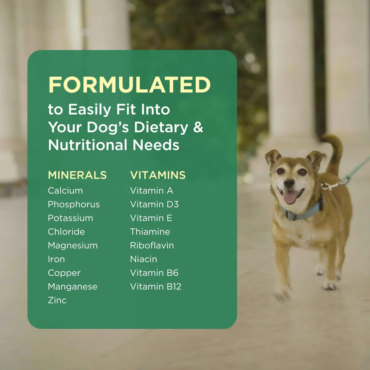 Pet-Tabs Multivitamin Supplement for Dogs & Puppies 500 Chewables | Supports General Wellness & Coat Health - view 5