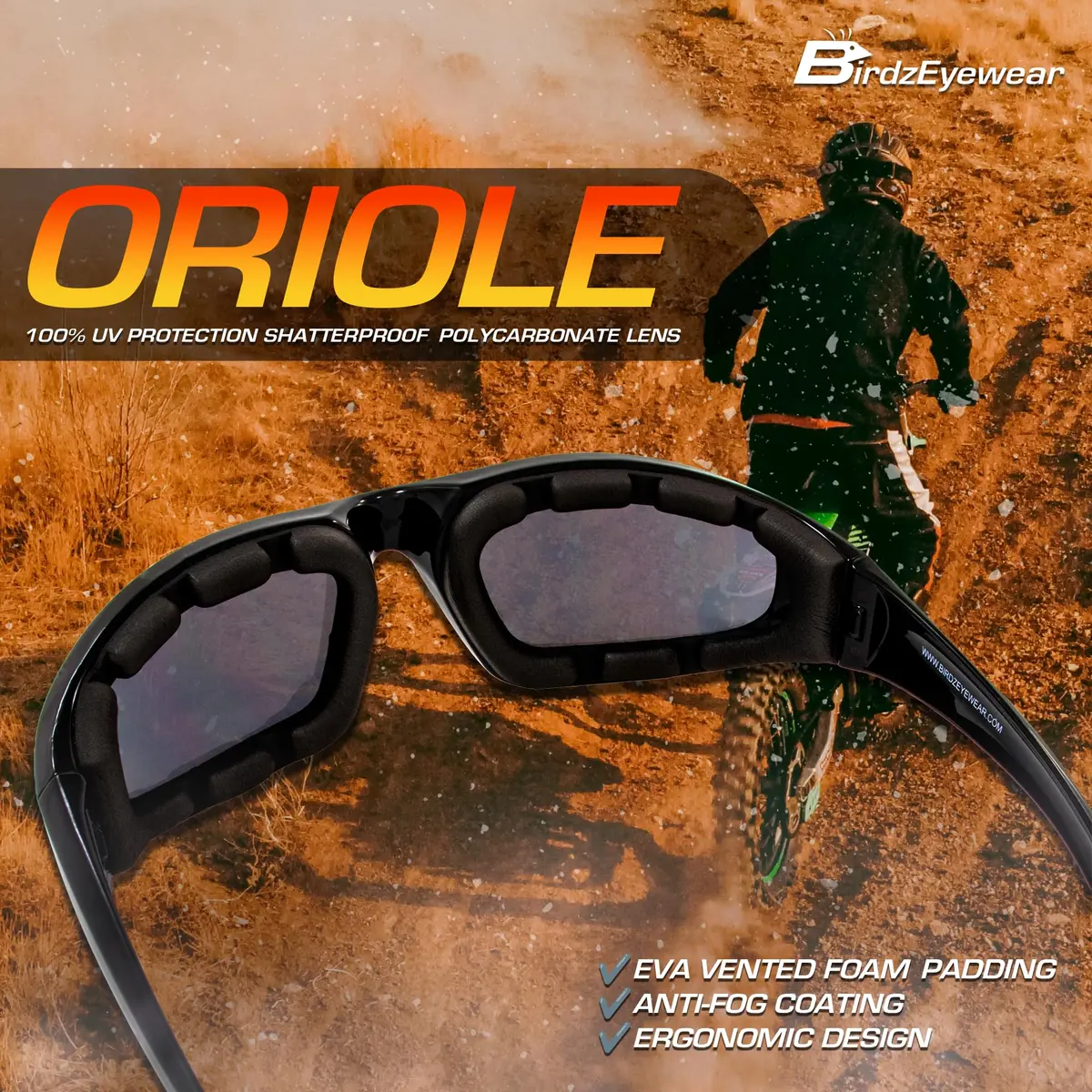 Birdz Eyewear Oriole Padded Motorcycle Glasses (Black Frame/Smoke Lens) | Shatterproof Anti-Fog Polycarbonate - view 3