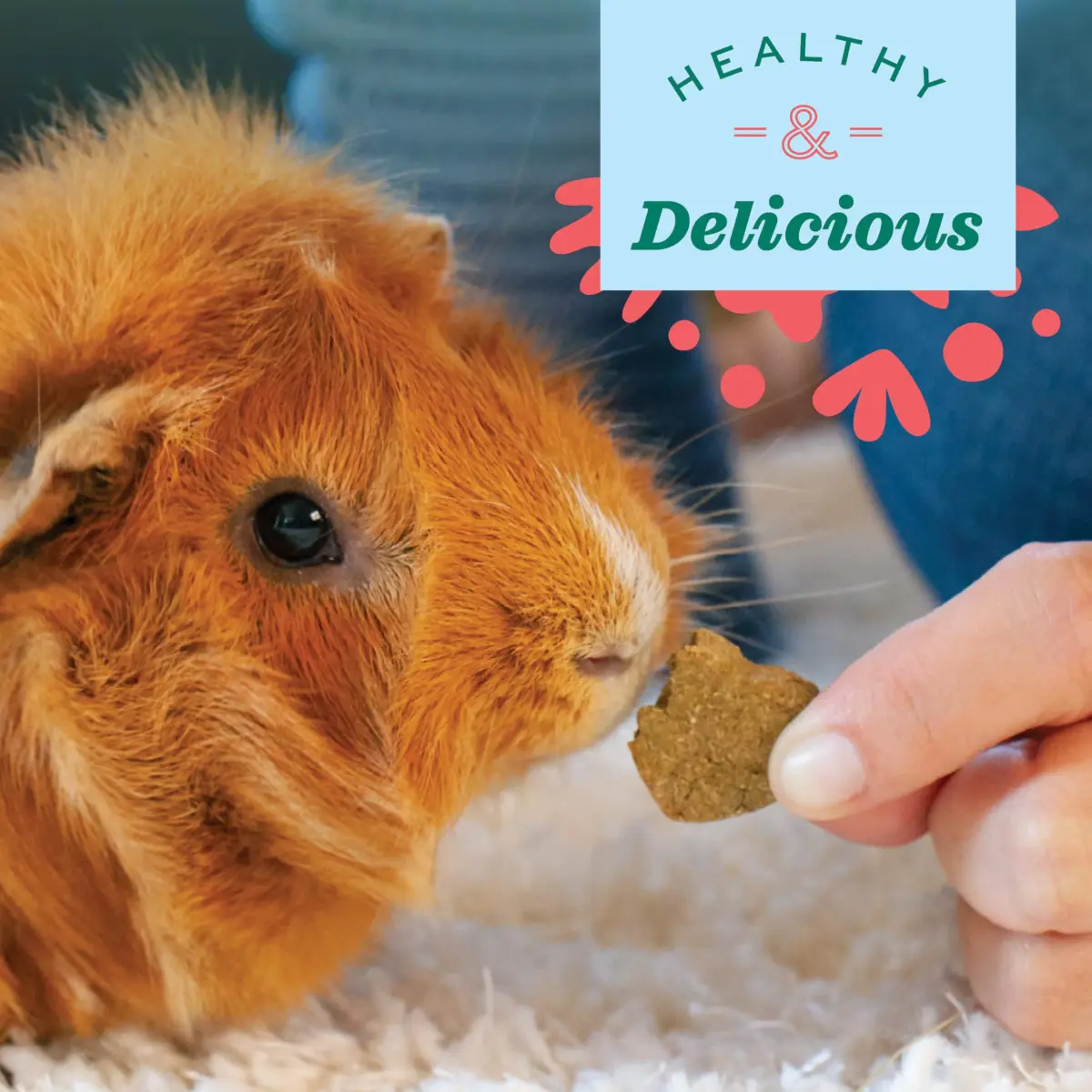 Oxbow Simple Rewards Timothy Treats for Small Pets, 1.4 oz (40g) | High-Fiber Hay Snacks for Digestive & Dental Health - view 5