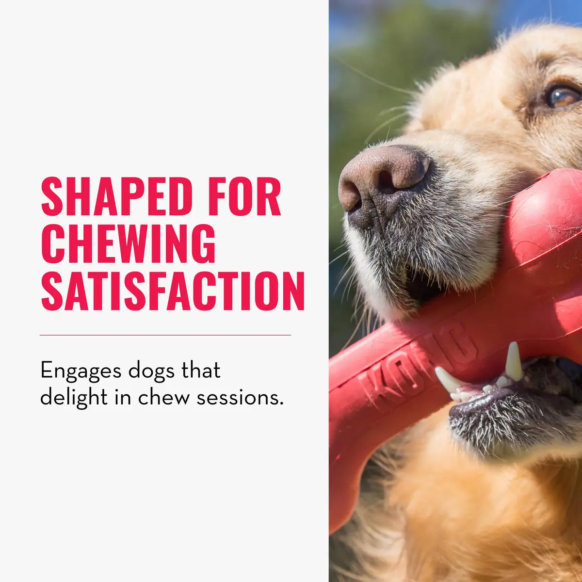 KONG Goodie Bone Natural Rubber Treat-Dispensing Dog Toy, Large, Red | Durable Chew Toy for Large Dogs - view 3