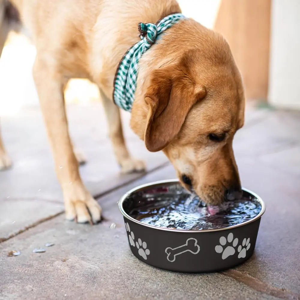 Loving Pets Bella Dog Bowls - Stainless Steel Spill Proof Pet Food & Water Bowl, Large 35-65 lbs, Espresso - view 7