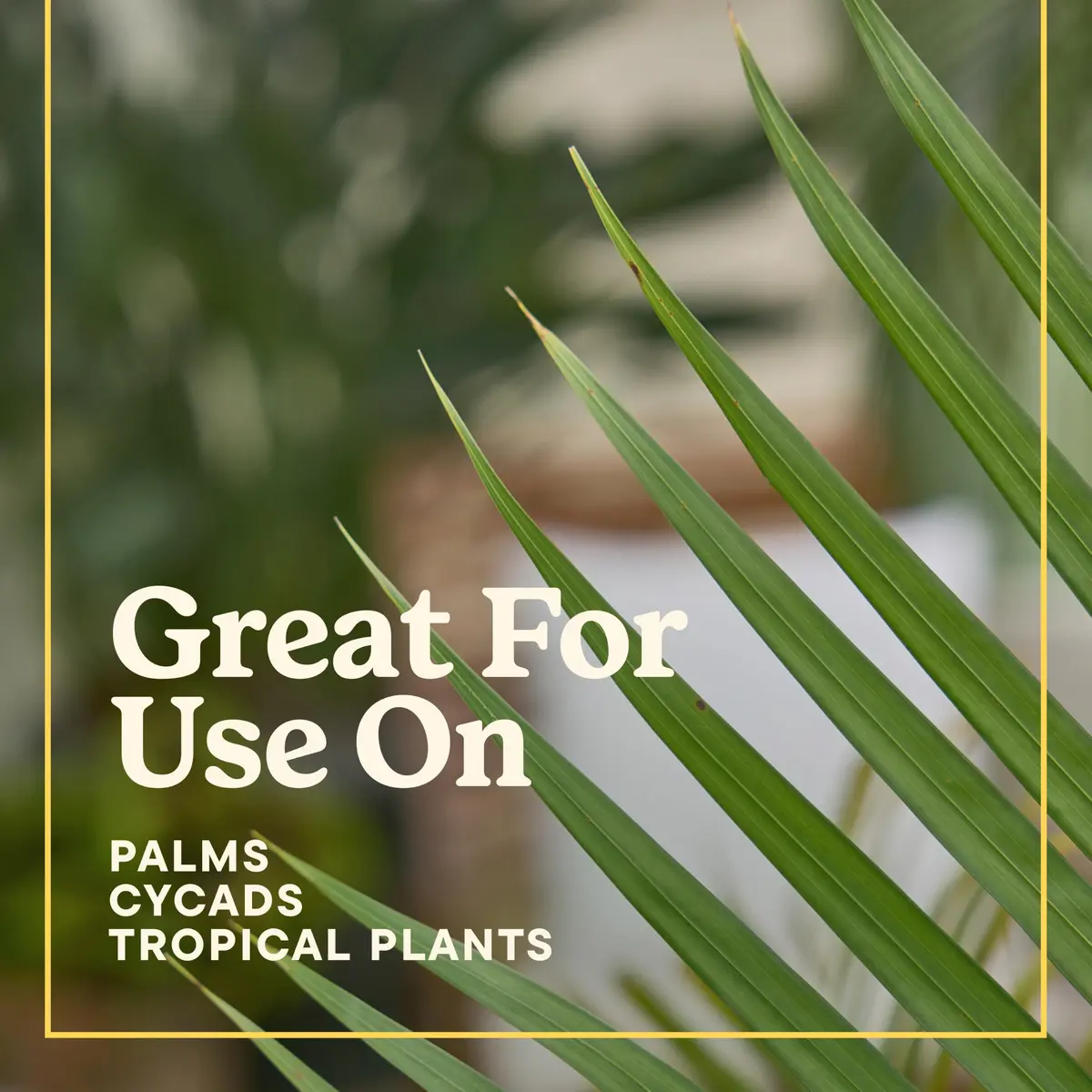 Miracle-Gro Shake 'N Feed Palm Plant Food, 8 lb. | Supports lush palms & tropicals - view 9