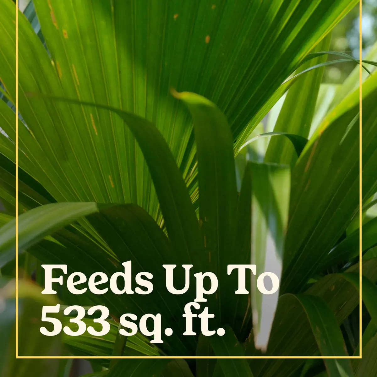 Miracle-Gro Shake 'N Feed Palm Plant Food, 8 lb. | Supports lush palms & tropicals - view 3