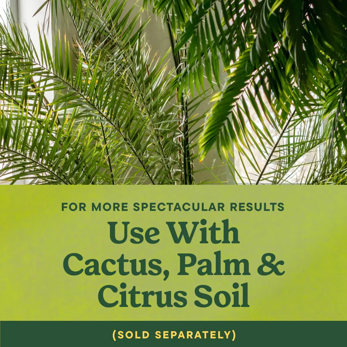 Miracle-Gro Shake 'N Feed Palm Plant Food, 8 lb. | Supports lush palms & tropicals - view 4