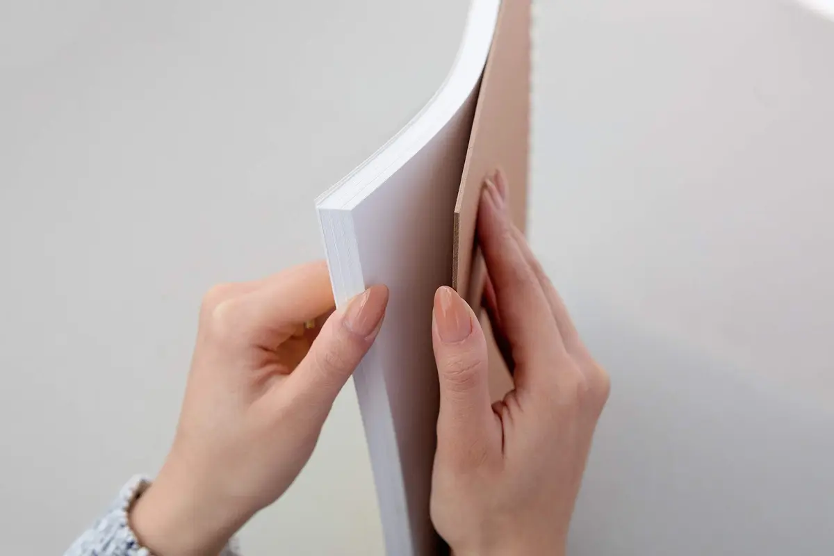 Strathmore 300 Series Bristol Paper Pad, Smooth, Tape Bound, 38.1cm x 43.2cm (14x17 inches), 20 Sheets (100lb/270g) | Artist Paper for Markers, Pen & Ink - view 2