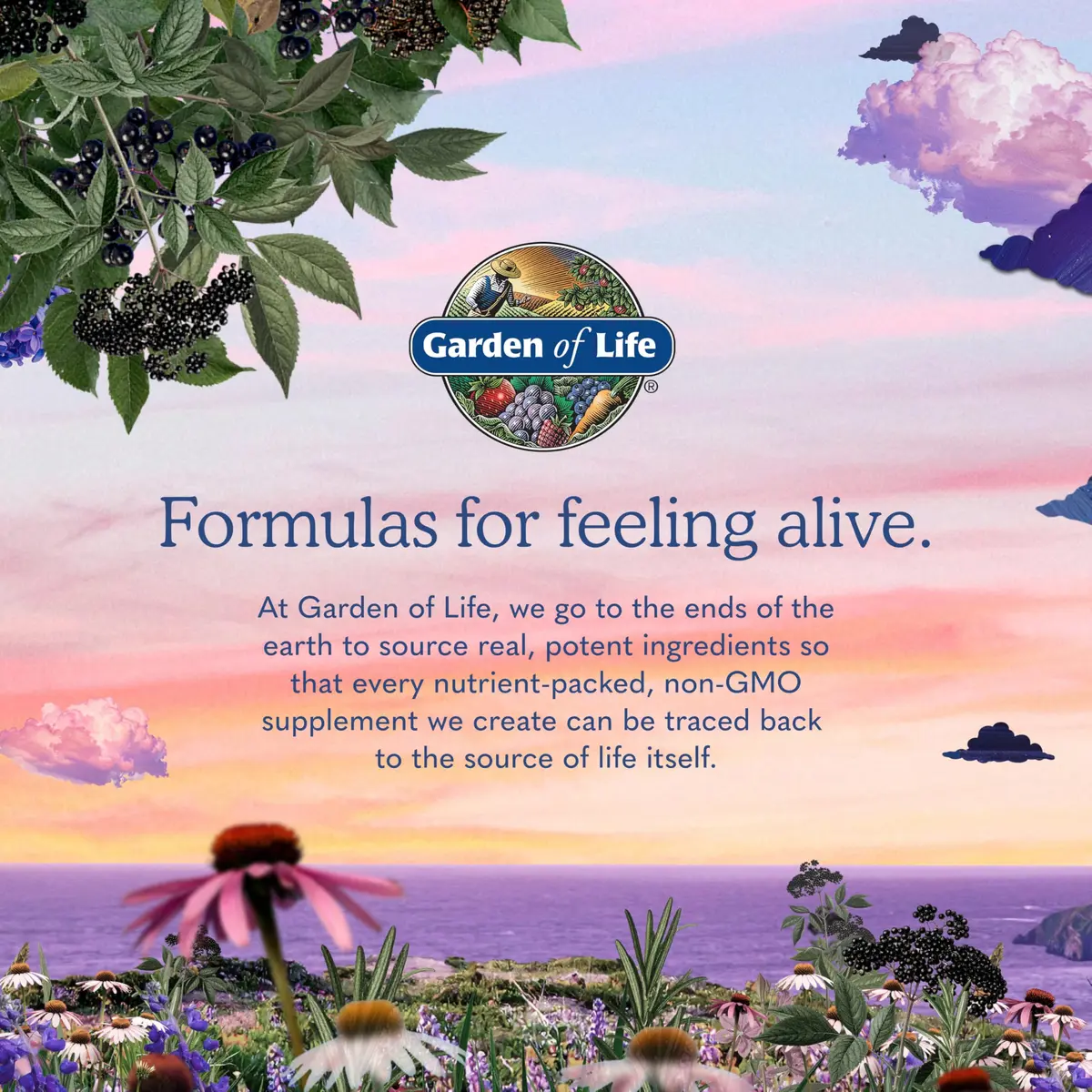Garden of Life Vitamin Code Women's Multivitamin 120 Capsules | Gluten-Free, Whole Food Support - view 8