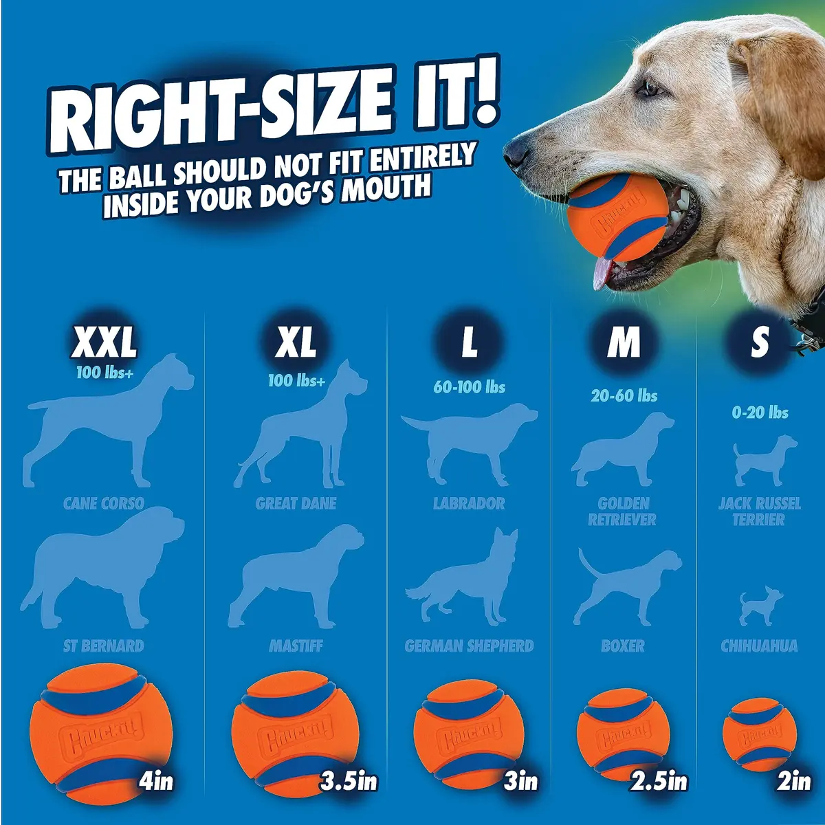 Chuckit! Sport 25M Dog Ball Launcher, 25in Length | Enhance Fetch & Play - view 6