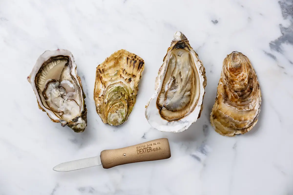 Dexter Outdoors Oyster Knife 2.75-inch New Haven Pattern | Traditional Seafood Tool - view 2