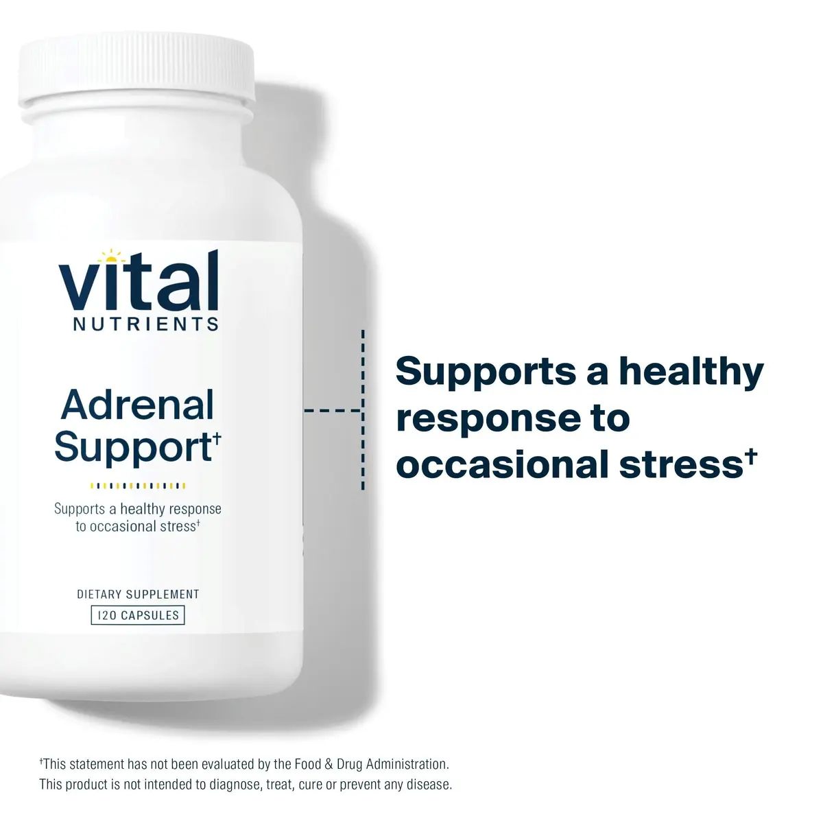Vital Nutrients Adrenal Support for Gland Function, 120 Capsules | Supports Stress & Energy, Made in USA - view 3