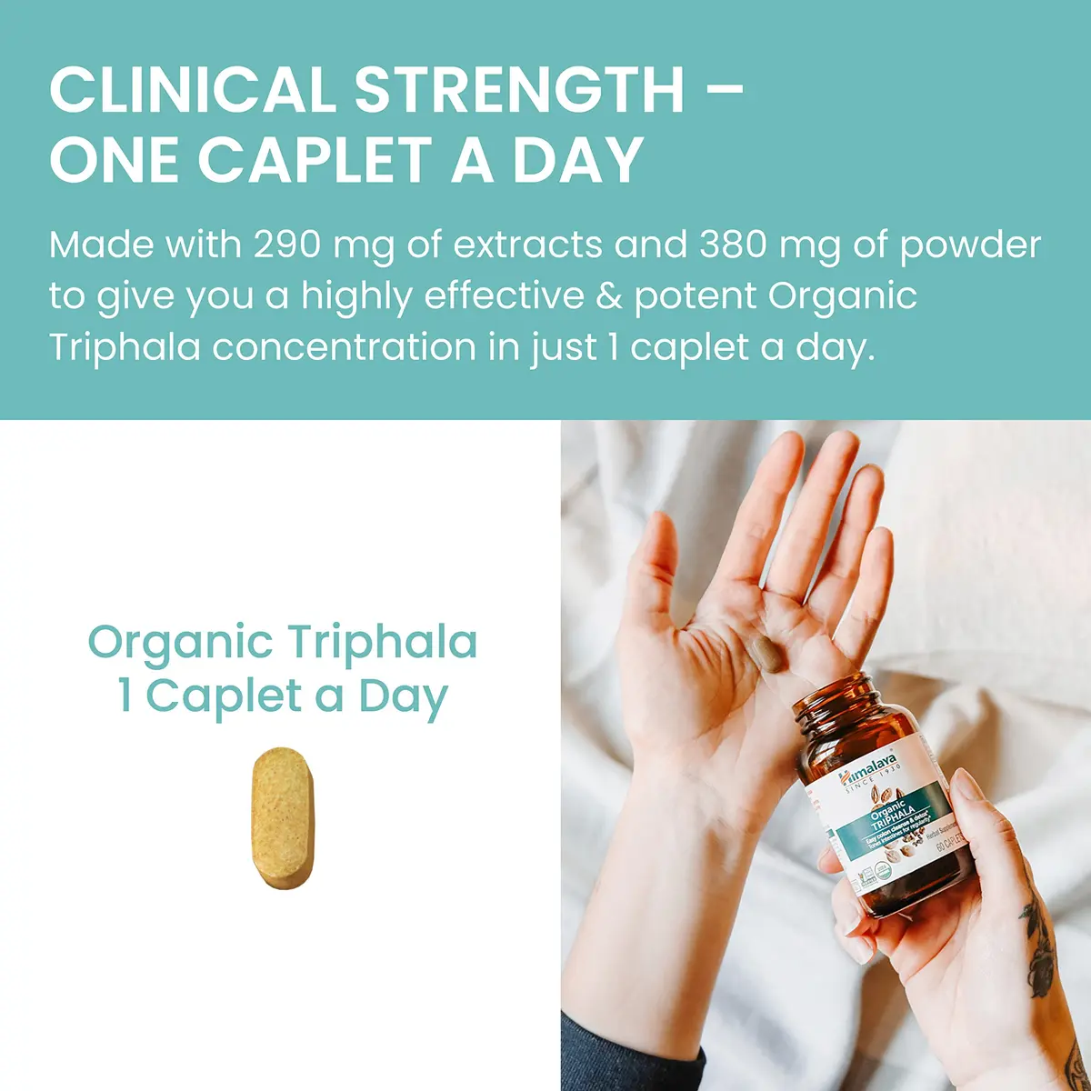 Himalaya USDA Organic Triphala Capsules, Colon Cleanse, 688 mg | Gentle Digestive Support & Regularity - view 6
