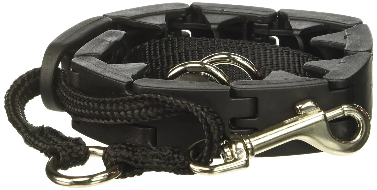 StarMark Pro-Training Dog Collar Large 21 inch (53 cm) | Gentle Control for Pulling Dogs - main product image