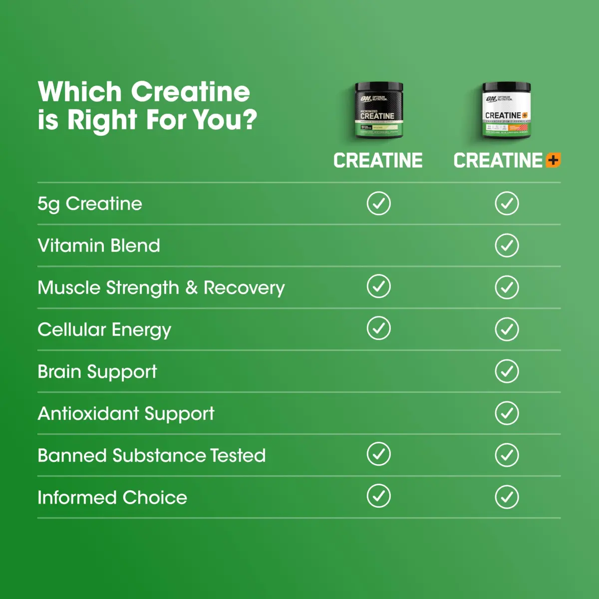 Optimum Nutrition Micronized Creatine Monohydrate Powder 240 Servings (1.2 kg) | Supports Strength & Recovery - view 8