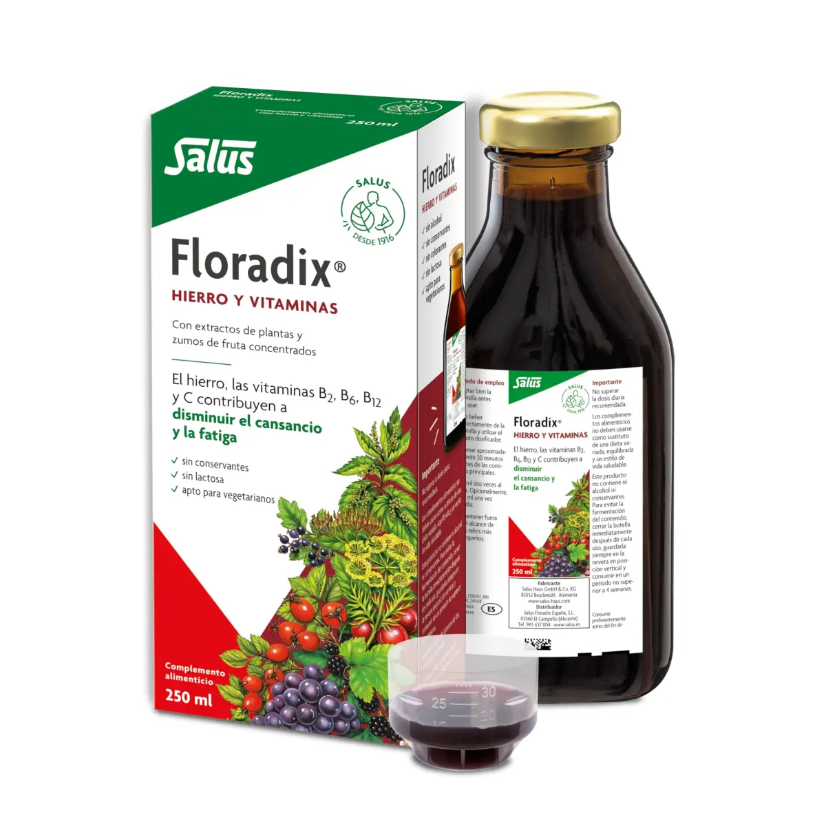 Floradix Liquid Iron and Vitamin Formula 250ml (8.5 Fl Oz) | Reduces Tiredness & Fatigue with Vitamins B & C - main product image