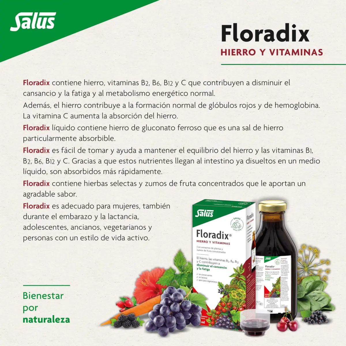 Floradix Liquid Iron and Vitamin Formula 250ml (8.5 Fl Oz) | Reduces Tiredness & Fatigue with Vitamins B & C - view 5