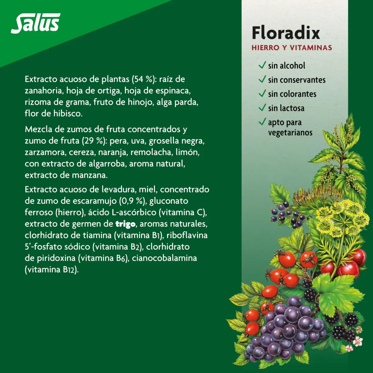 Floradix Liquid Iron and Vitamin Formula 250ml (8.5 Fl Oz) | Reduces Tiredness & Fatigue with Vitamins B & C - view 6