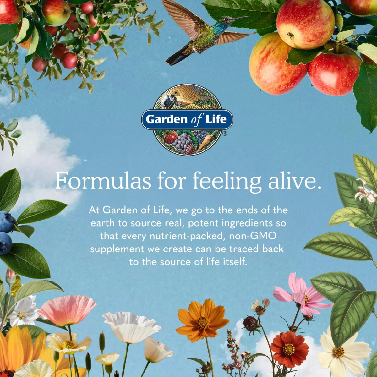 Garden of Life Primal Defense Ultra Probiotic 216 Capsules | 15 Billion CFU & 13 Strains for Digestive Health - view 7
