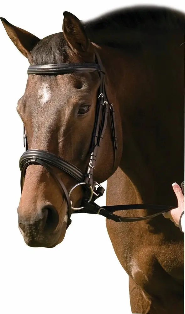 Henri de Rivel Padded Dressage Bridle with Crank Flash Noseband and Web Reins | Elegant, Durable, Black - main product image